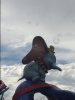 image.jpeg