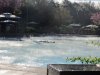 IMG_0576.JPG