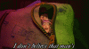 tumblr_m3m8hfPjv51qdmk7to1_400.gif