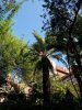 20160905_091707.jpg