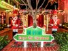 WDWChristmas.jpg