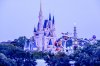 WDWMKview from CR.jpg
