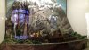 20161009_152443.jpeg
