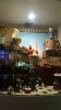 20161009_152353.jpeg