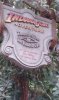 20160409_084420.jpg 20160409_084420.jpg