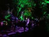 DSC05548.JPG