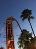 rip ride rocket.JPG