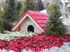 IMG_2616.JPG