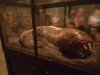 20161014_090841.jpg