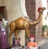 WDW.EP.Moroccogold.jpg