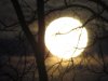 IMG_0062.JPG