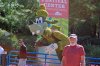 IMG_7397.jpg