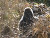 IMG_2131.JPG