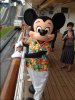 IMG_0275.JPG