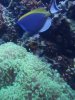 DSCF1310 (768x1024).jpg
