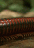 tumblr_mb6f4eVop31r4zr2vo1_500.gif