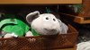 SAM_0717.JPG