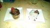 BOG_cupcakes.jpg