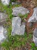 IMG_0065.JPG