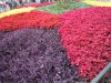DSCN8821.JPG