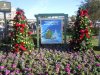 DSCN8520.JPG