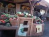 DSCN8537.JPG