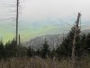 IMG_4069.JPG