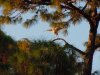 DSCN8891.JPG