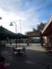 DSCN8431.JPG
