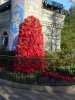 DSCN8534.JPG
