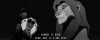 giphy.gif giphy.gif