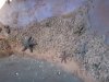 DSCN8549.JPG