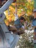 DSCN8905.JPG