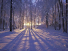 upload_2016-12-2_8-36-52.png