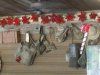 DSCN8579.JPG