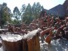 DSCN9754.JPG