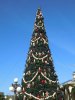 DSCN8523.JPG