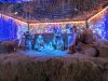 WDW.Nativity.jpg