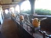 DSCN8538.JPG