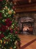 Villa Tree & Fireplace.jpg