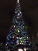IMG_1345.JPG