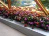 DSCN9109.JPG