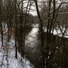 IMG_5521.JPG