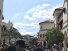 IMG_8482.JPG