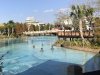 IMG_8483.JPG