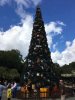 IMG_0058.JPG