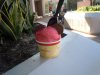 DSCN8861.JPG