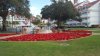 20161205_134712.jpg