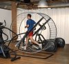 human-hamster-wheel1.jpg