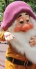 WDW_WhiteBeard.jpg